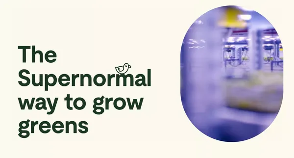 Supernormal Greens | Sallad med gott samvete från Ljusgårda - Landing design inspiration