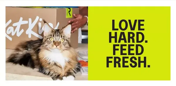 KatKin: Fresh Cat Food. Love Hard. Feed Fresh. - Landing design inspiration