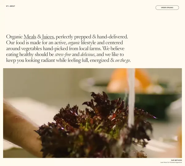 Organic Oren | Los Angeles - Landing design inspiration