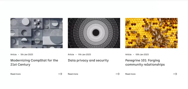 The Advanced Public Safety Platform | Peregrine - Landing design inspiration