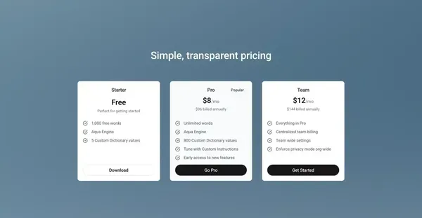 Aqua Voice - Fast Voice Input for Mac and Windows - Landing design inspiration