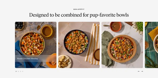 Fresh, Veterinarian-Formulated Dog Food Delivered | Golden Child - Landing design inspiration