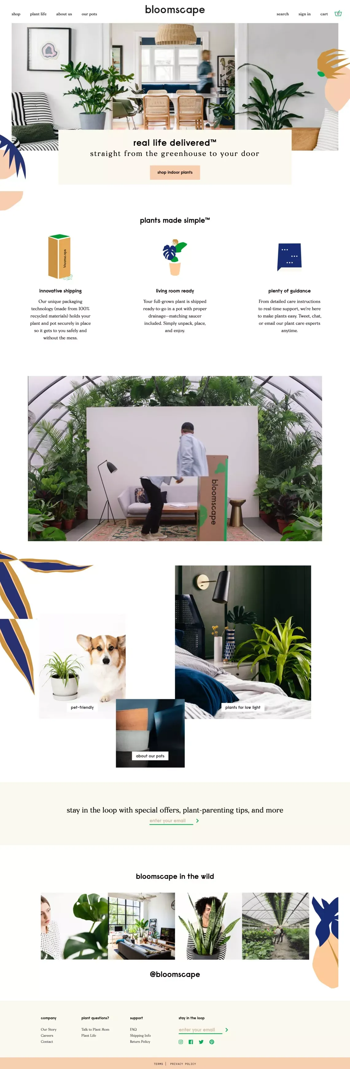 Bloomscape | Living room ready plants delivered to your door - Ecommerce design