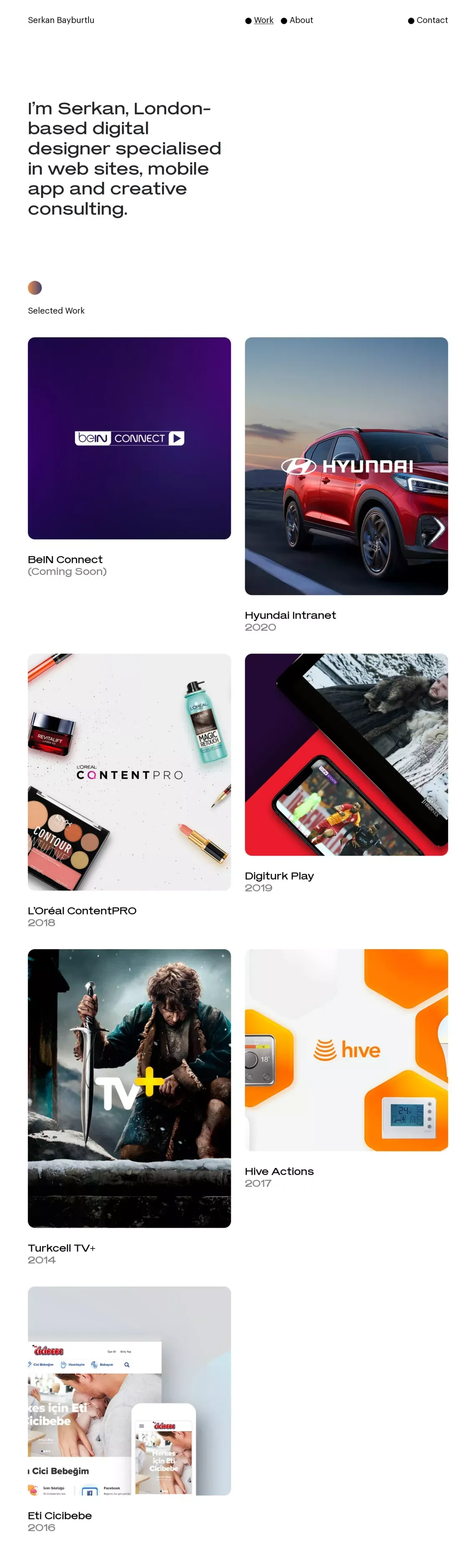 Serkan Bayburtlu - website design
