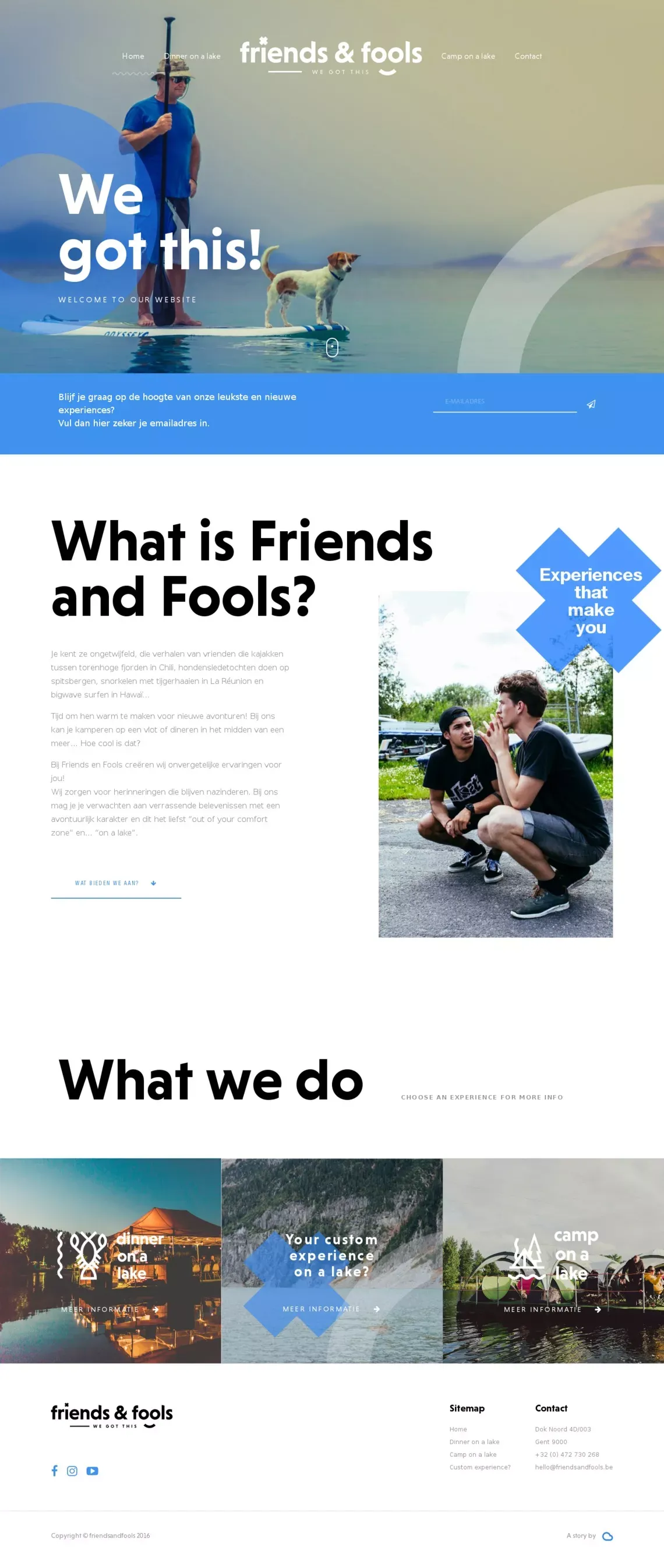 Friends & Fools - Portfolio design