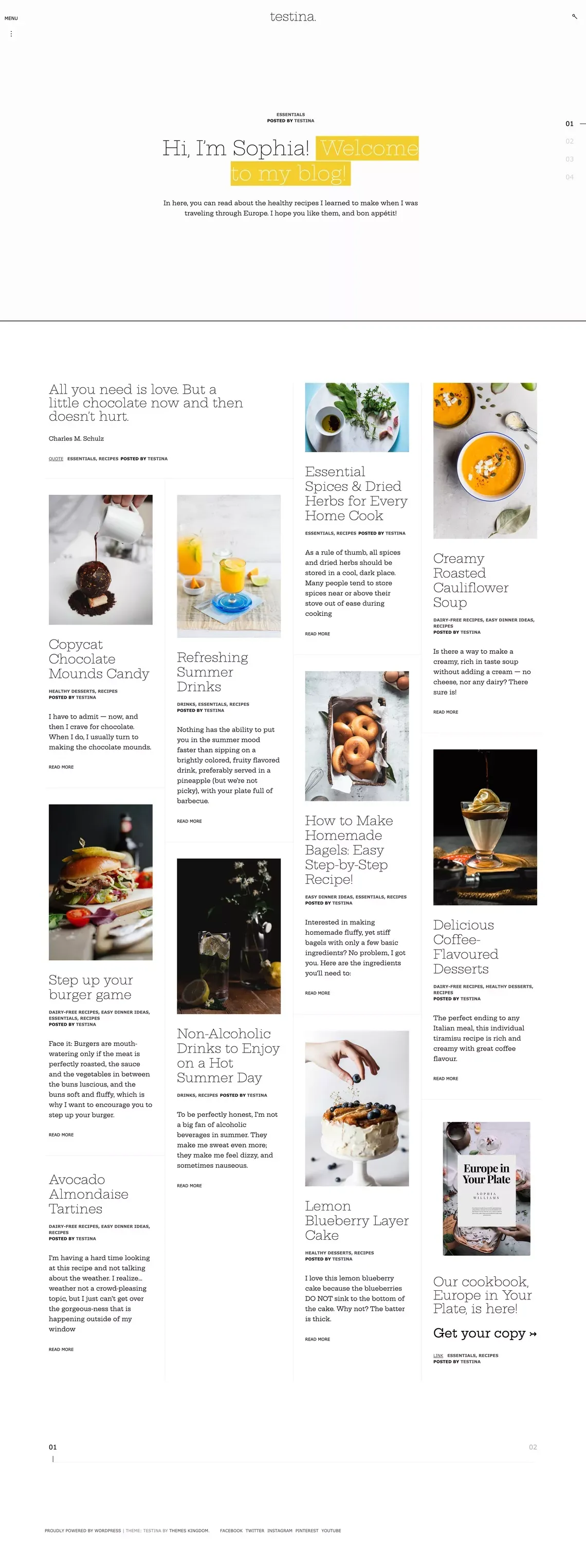 Testina - Delicious food blog WordPress theme - ThemesKingdom - Template design