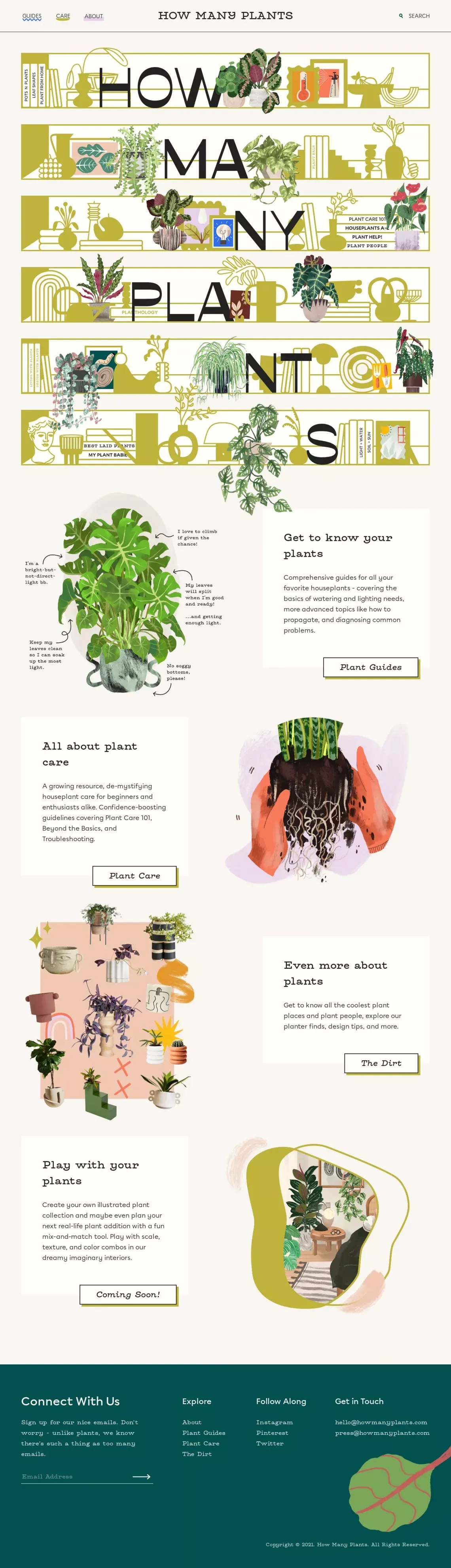 How Many Plants - Indoor and House Plant Resource - Blog design