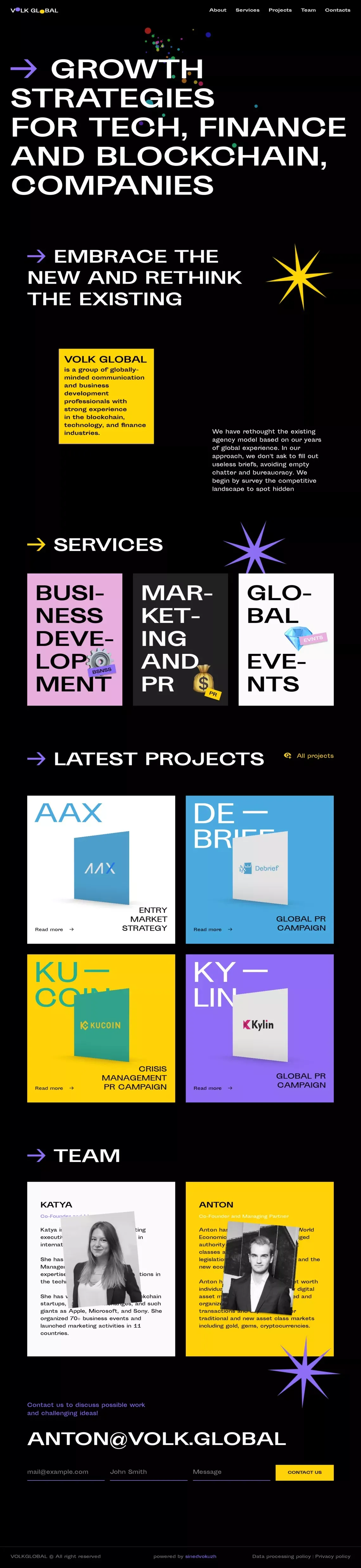 VOLK GLOBAL - website design