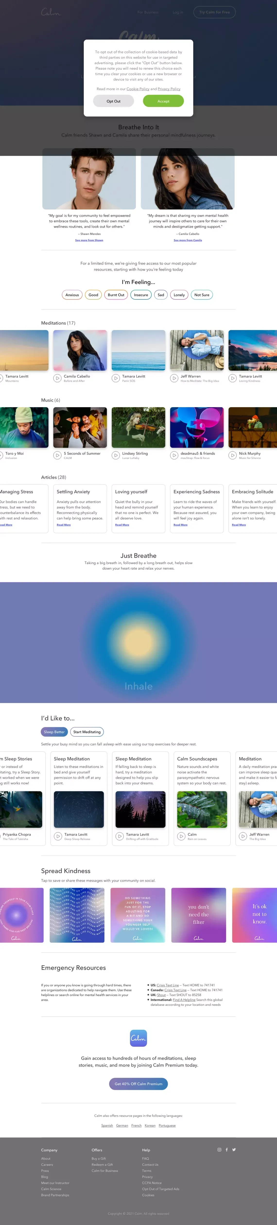 Calm Together - website design