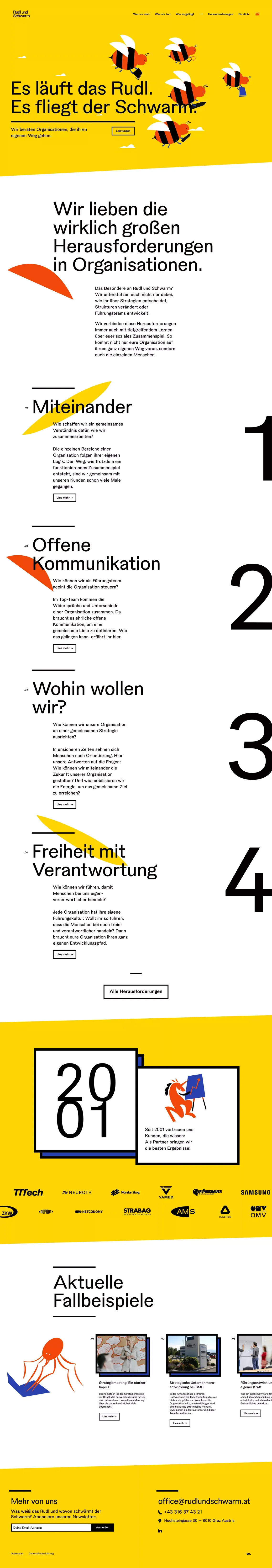 Rudl und Schwarm - Organisationsberatung - Portfolio design