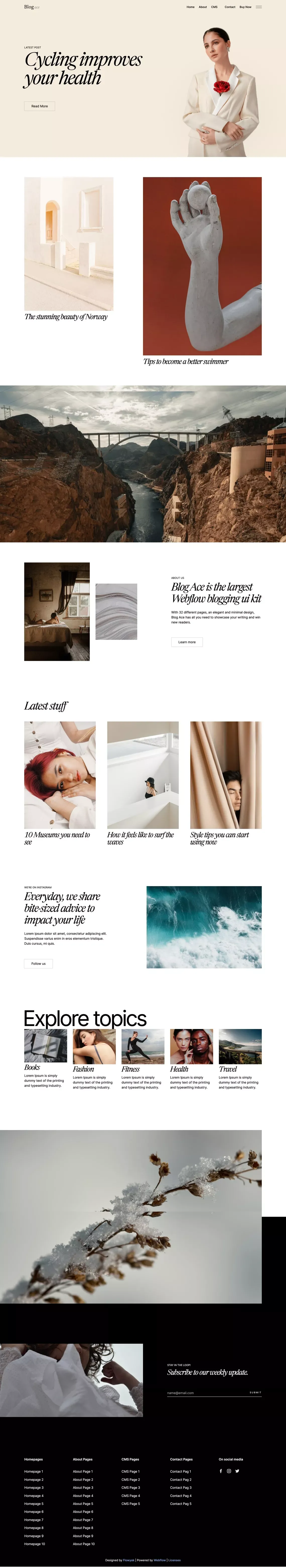 Blog Ace - Blog Webflow Template - Template design