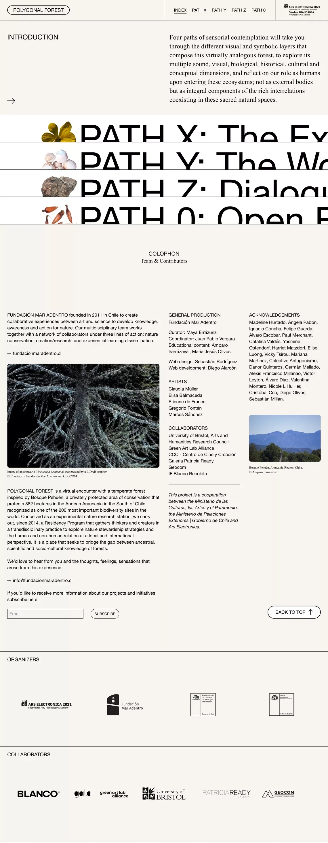 Polygonal Forest - Other design