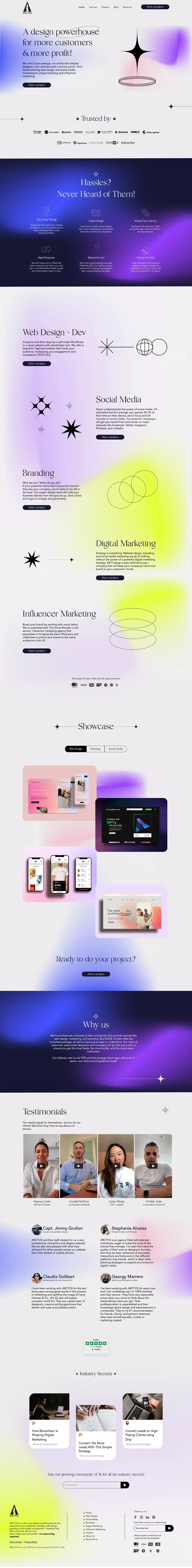 ARCTOS -Best Digital Marketing Agency USA - Portfolio design