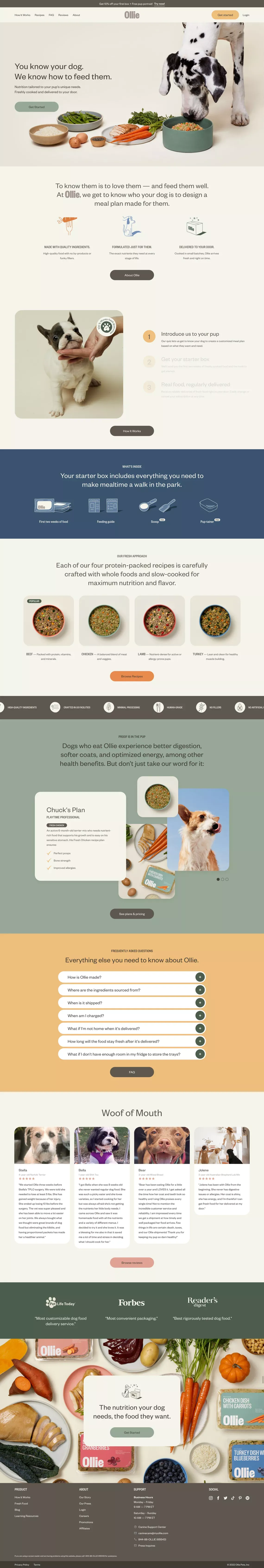 Healthier, Custom Human-Grade Dog Food Delivered - Ecommerce design