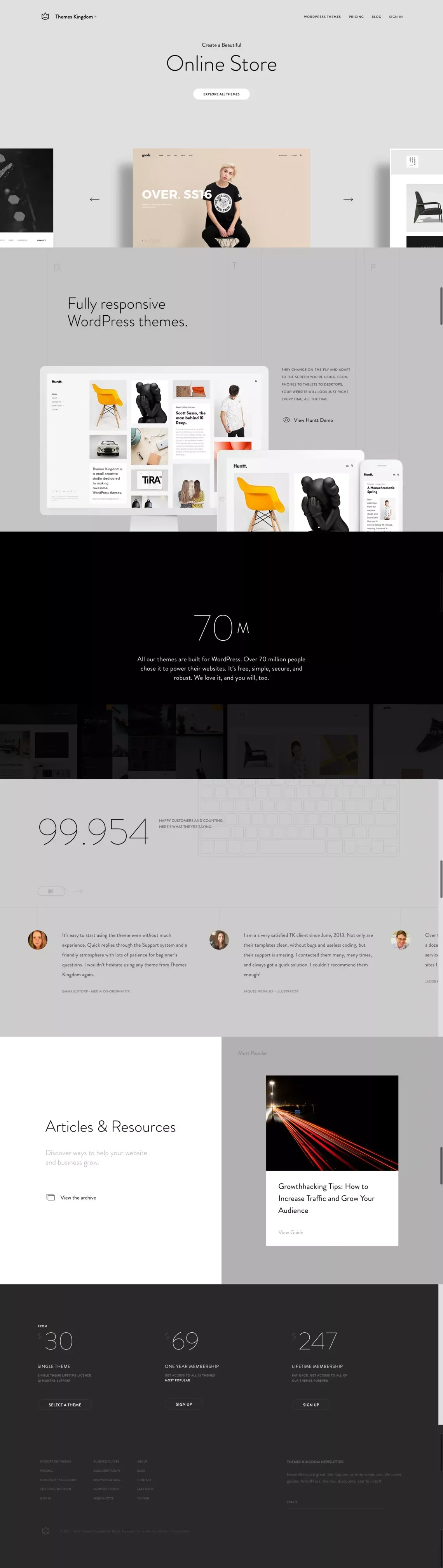 Themes Kingdom - Premium WordPress Themes - Landing design