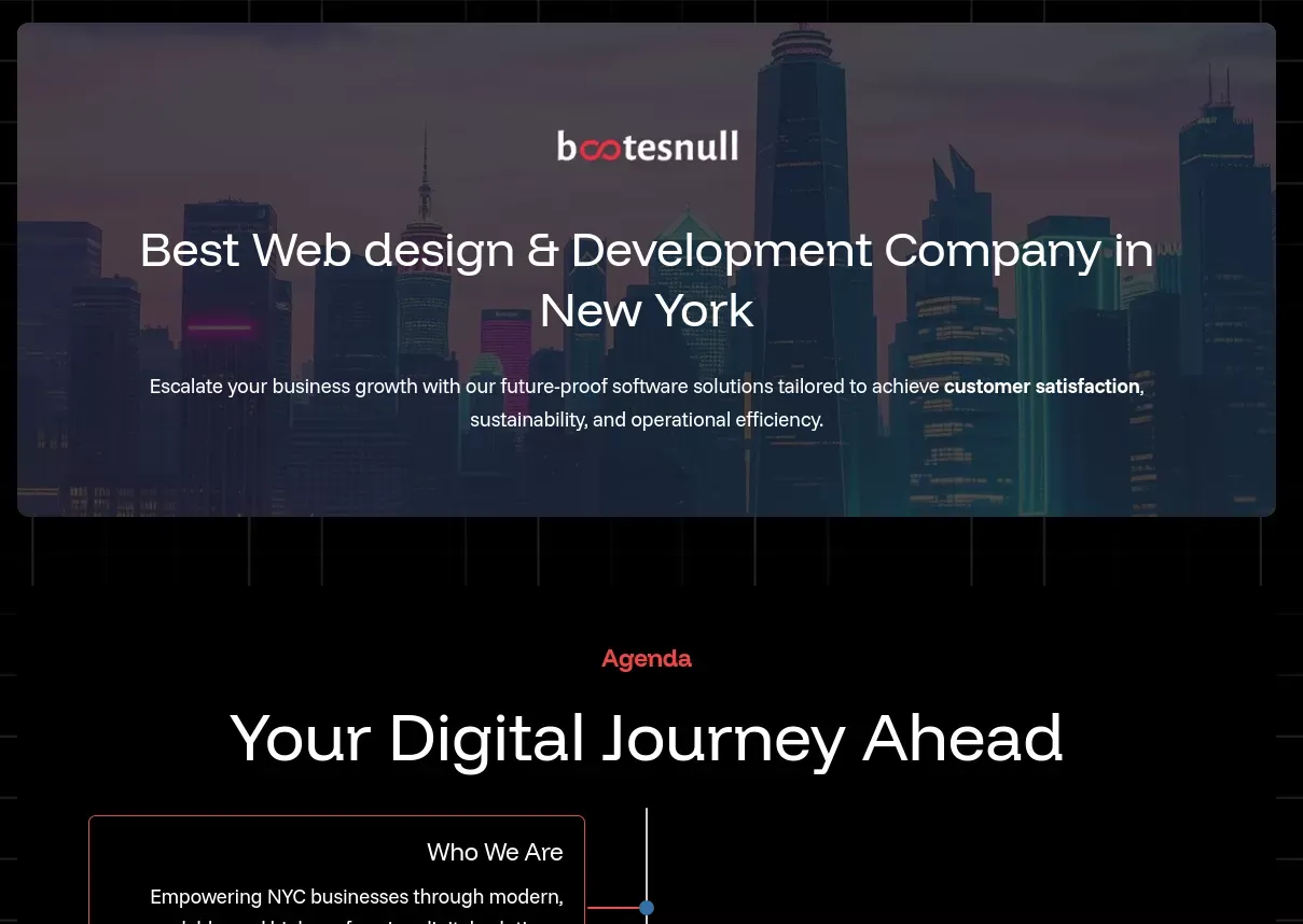 Best Web design & Development Company in New York - Portfolio design