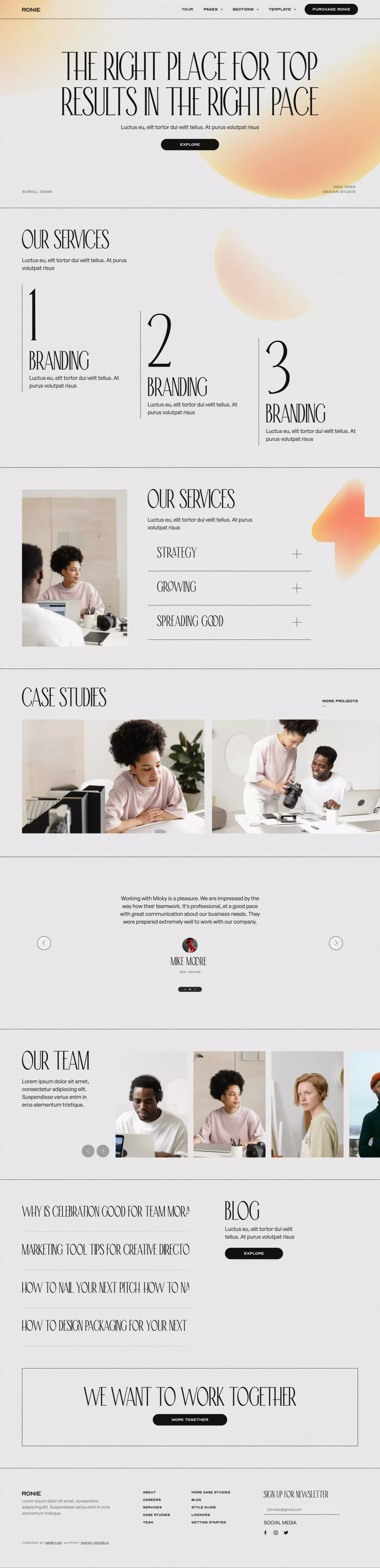 Ronie - Webflow Website Template - Template design