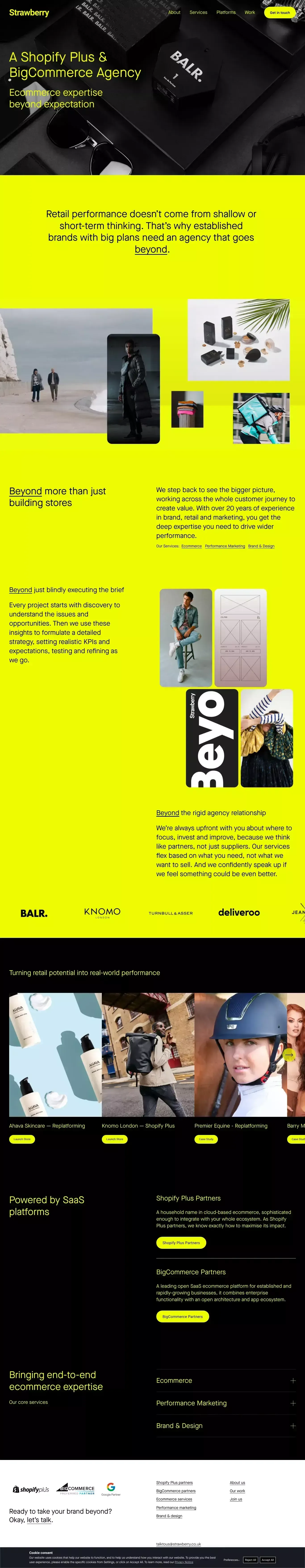 Shopify & BigCommerce Partner Agency — Ecommerce Expertise - website design