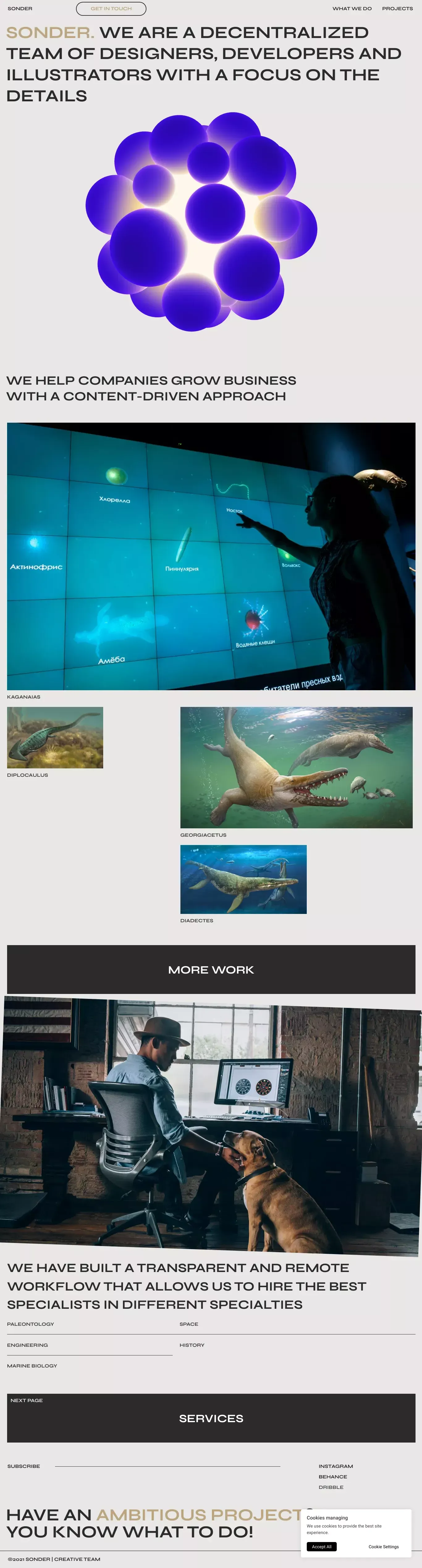 Sonder Team - Portfolio design
