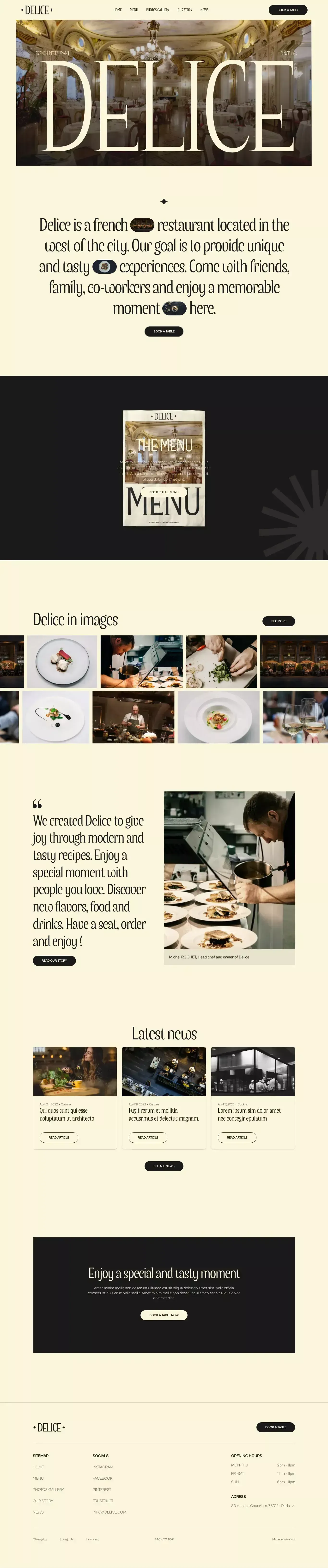 Delice - Webflow HTML Website Template - Template design