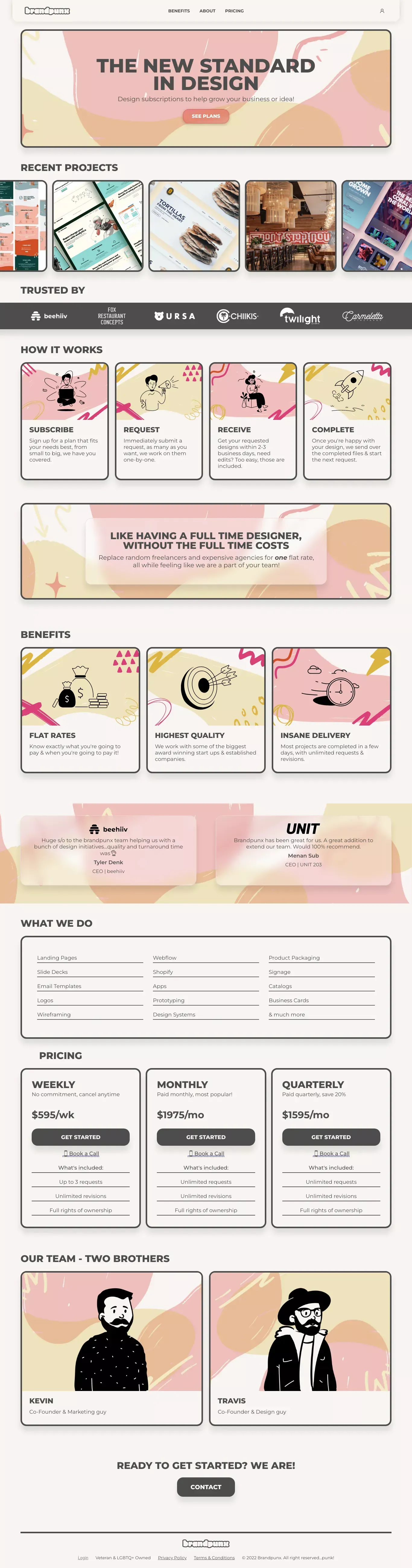 brandpunx - website design