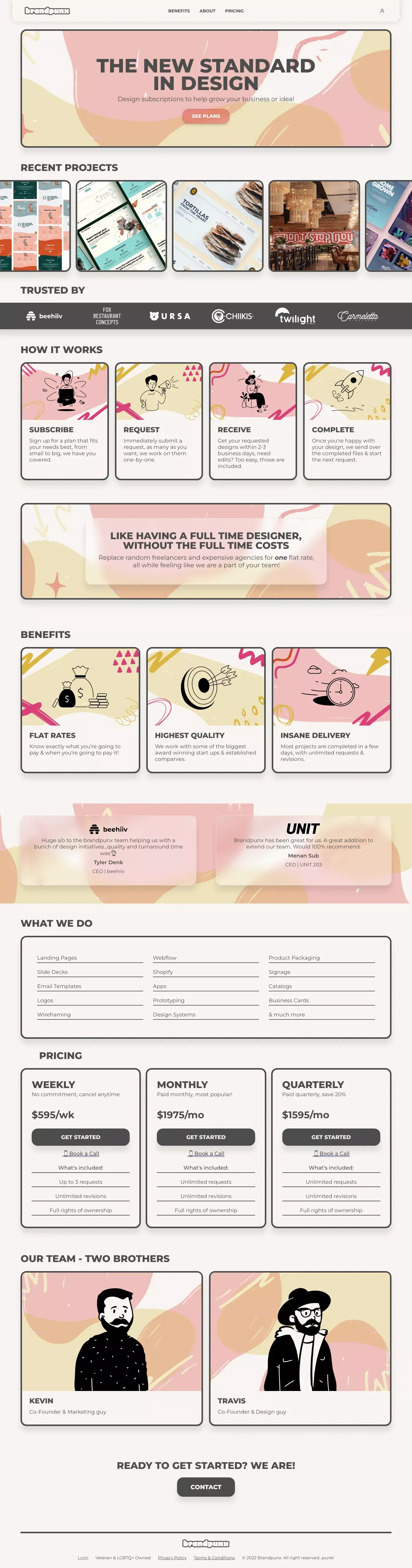 brandpunx - Landing design