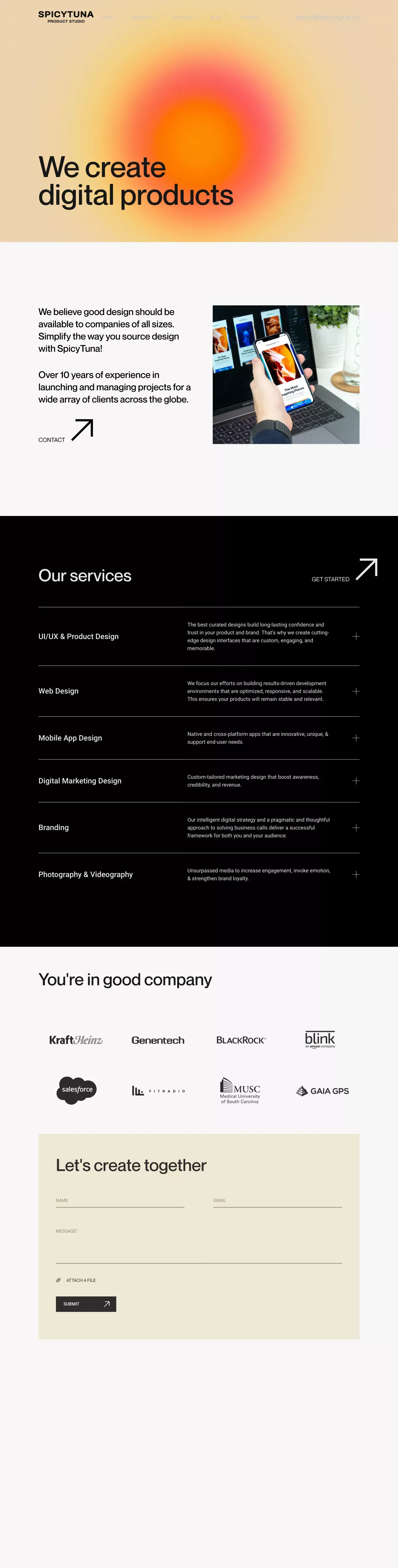 Our Services | Tampa, FL | SpicyTuna Design - About Us  design