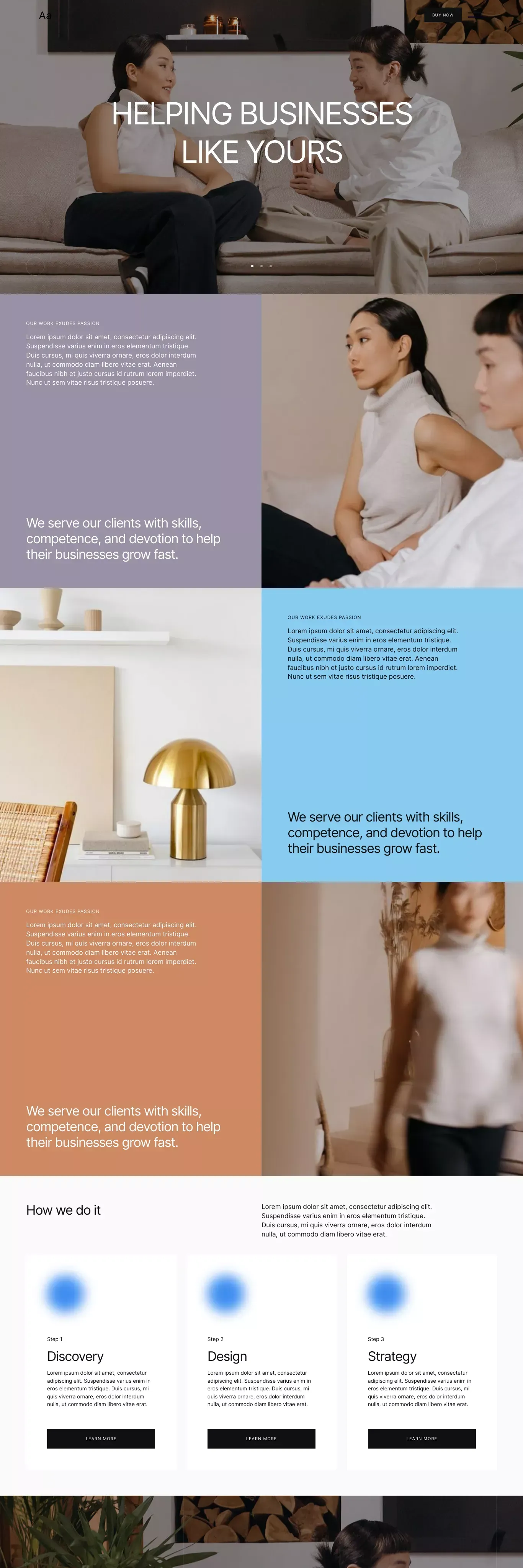 Aardvark - Small Business Website Template - Template design