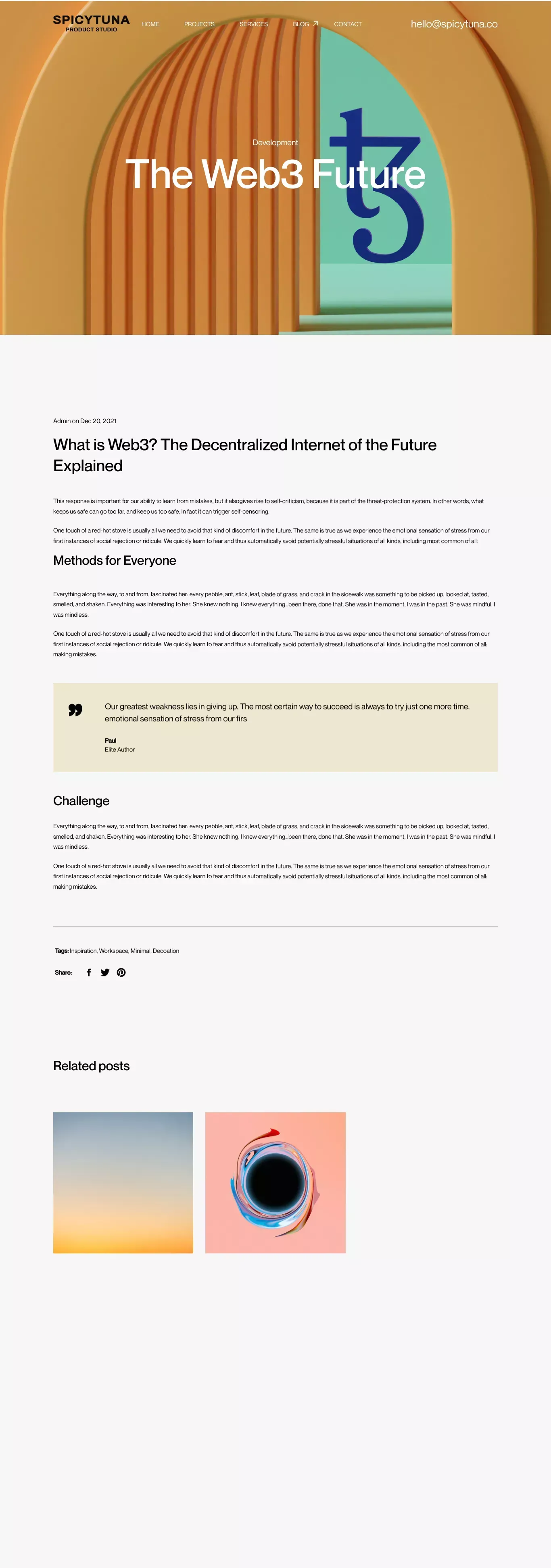 Web3, the Future Internet | Tampa, FL | SpicyTuna Design - Blog Post design