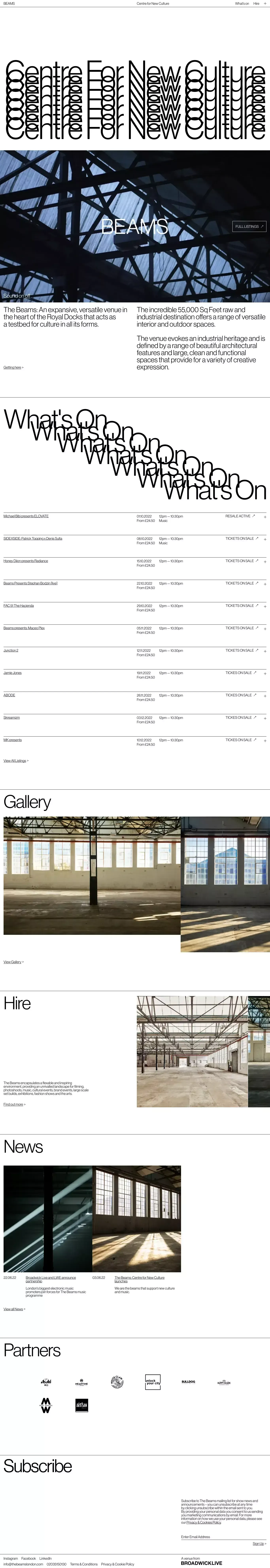 Homepage - The Beams - Other design