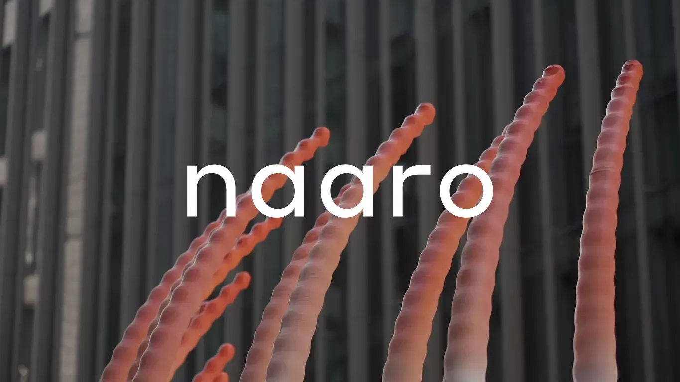 naaro - Portfolio design