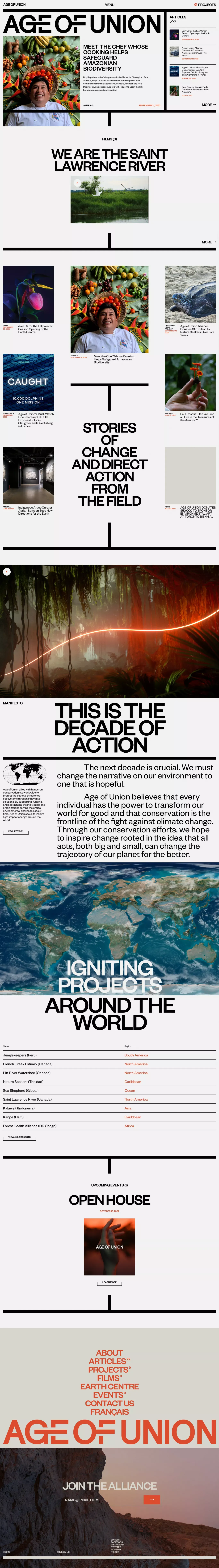 Age of Union - Blog design