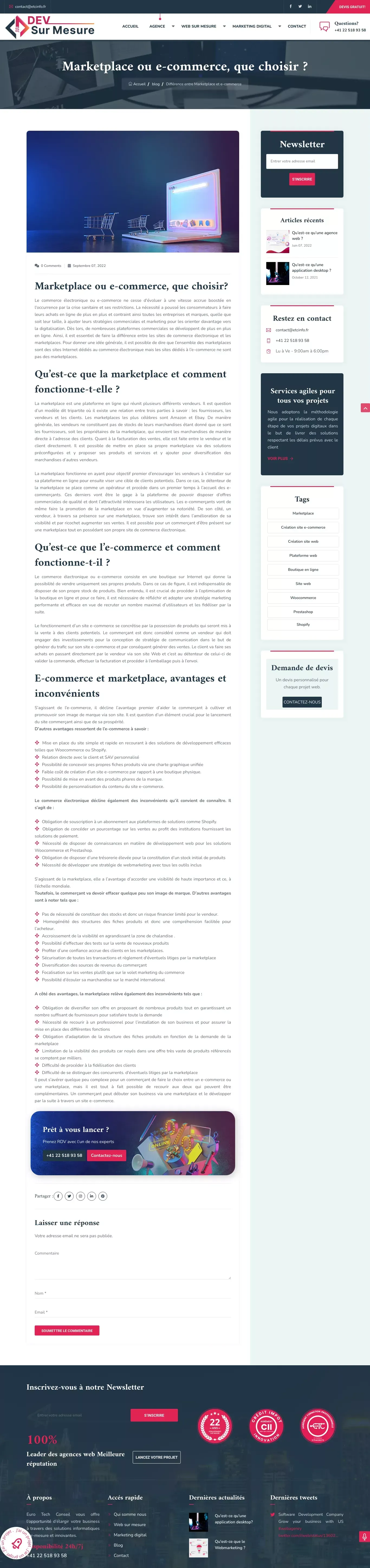 Marketplace ou e-commerce, que choisir ? - Blog Post design