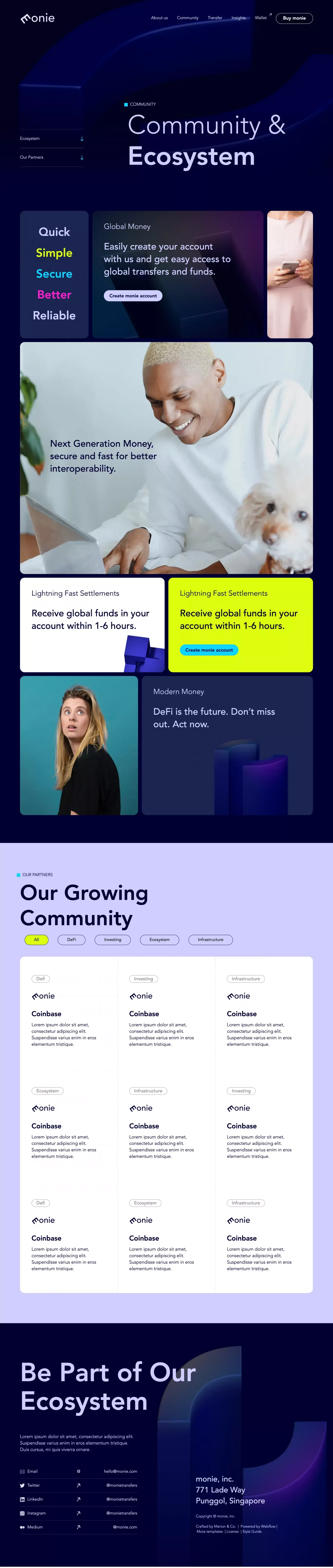 Monie Webflow Template - Template design