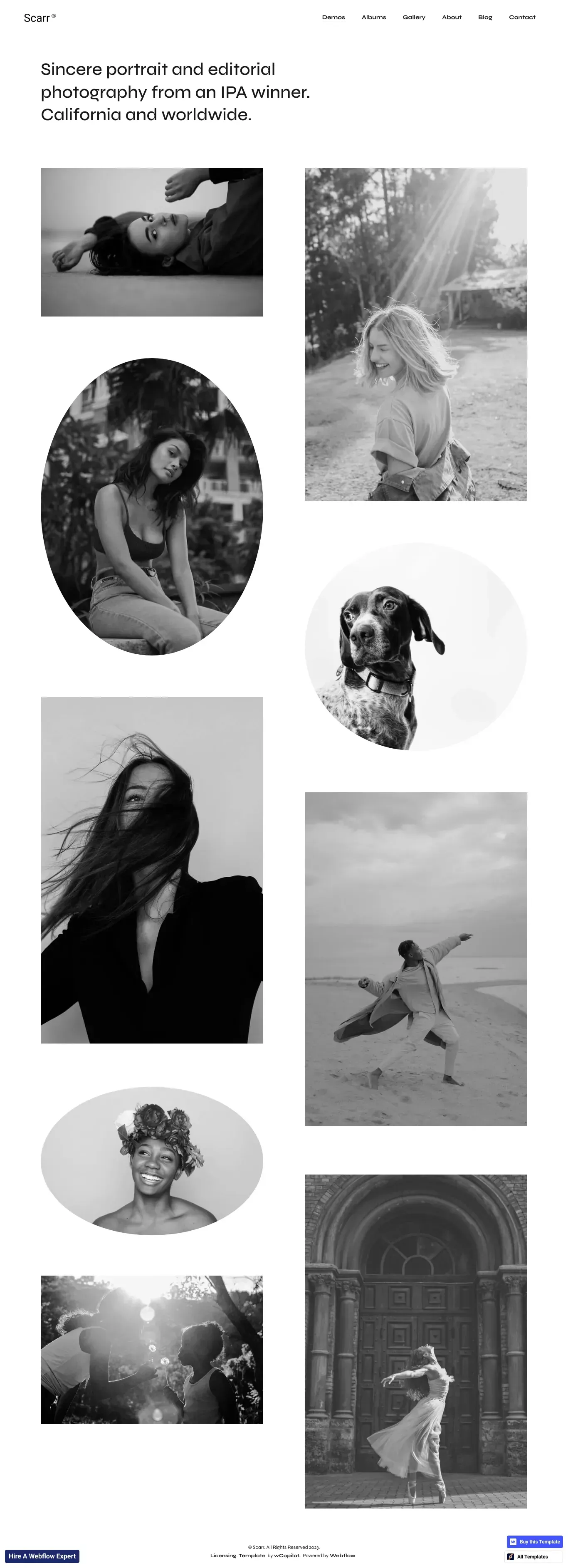 Scarr - Webflow HTML website template - Template design