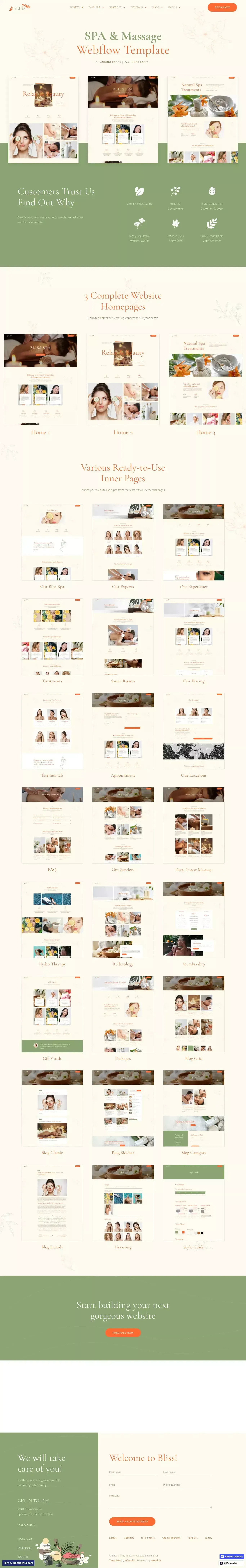 Bliss - Webflow HTML website template - Template design