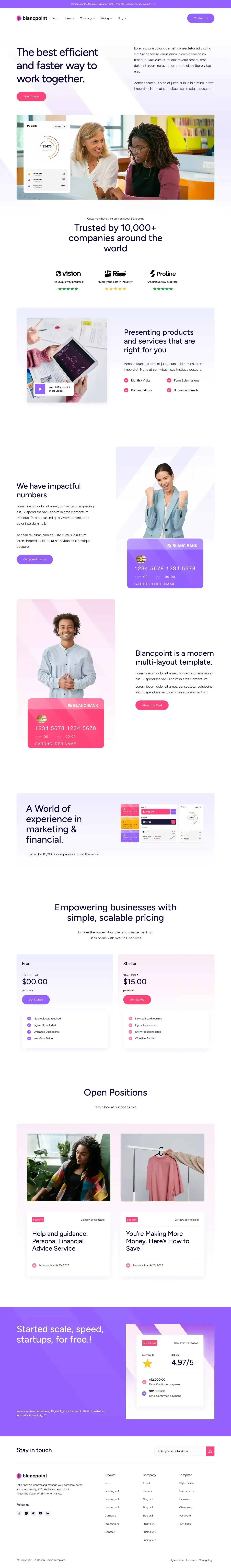 Blancpoint - Webflow HTML website template - Template design