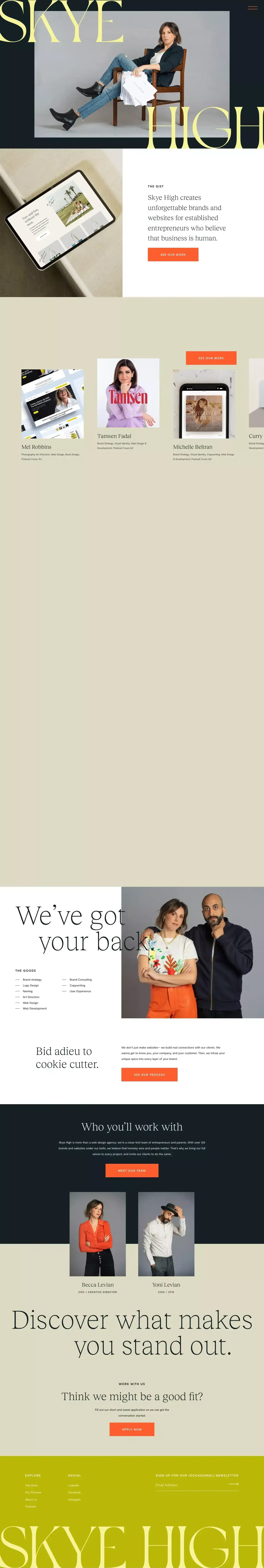 Skye High Interactive - website design