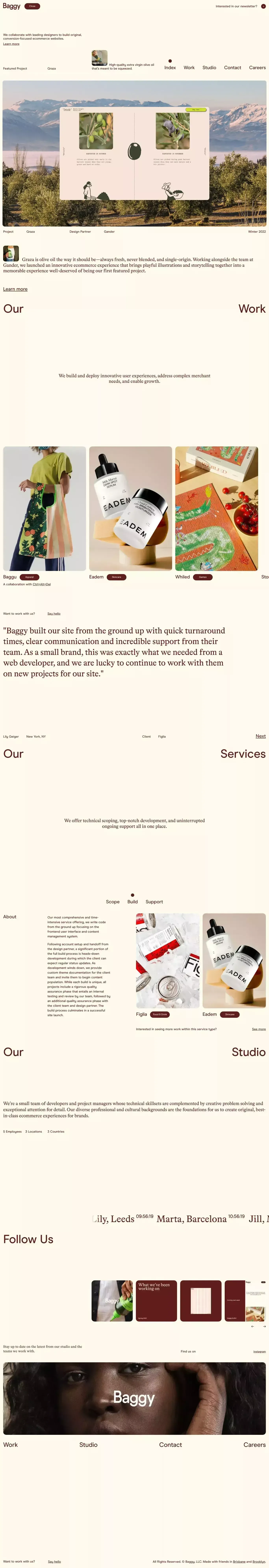 Baggy - Portfolio design