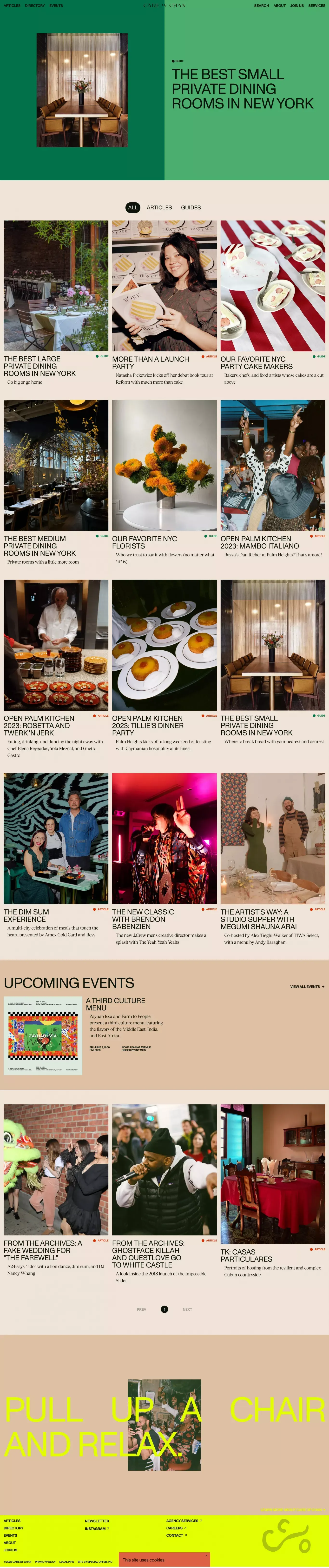 Care of Chan - Blog design