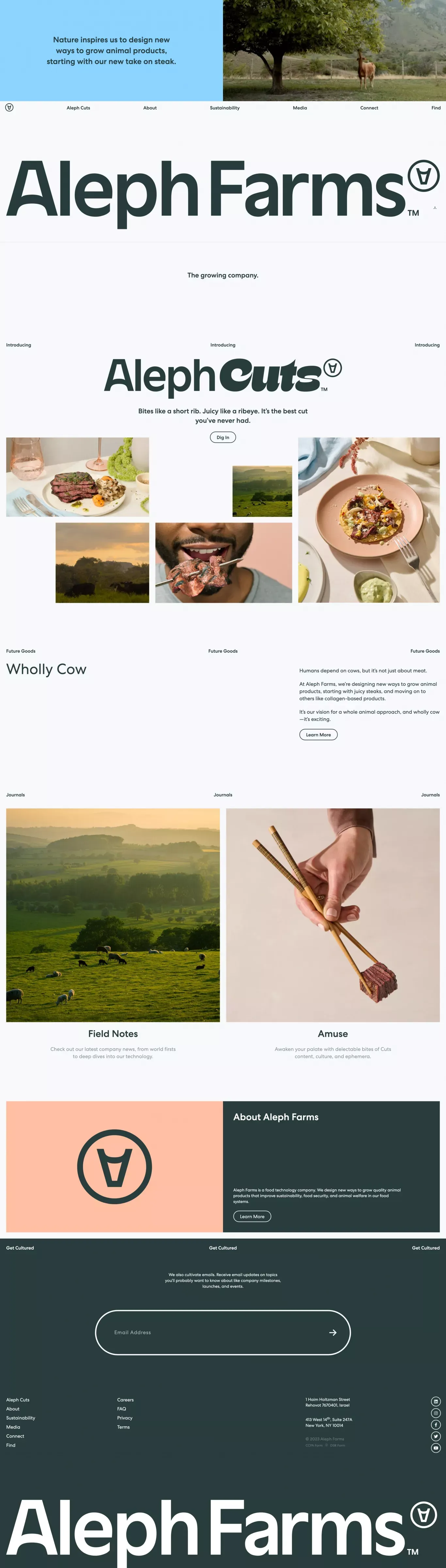 Sustainable, Cultivated Meat. Steak Done Right. | Aleph Farms - Landing design