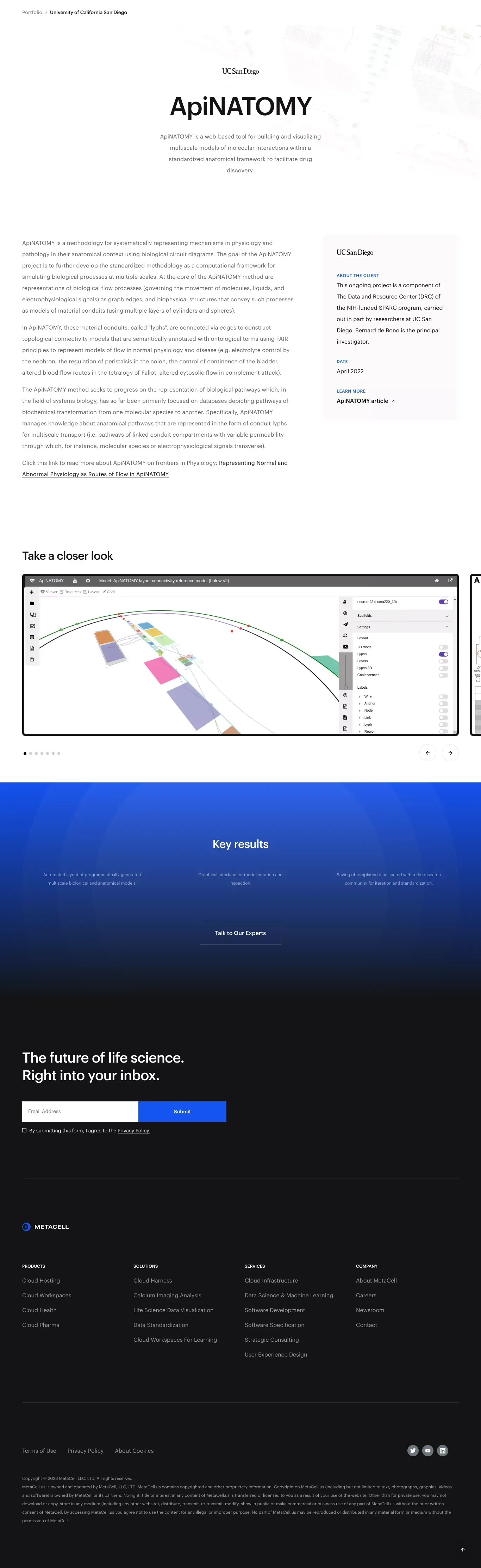 ApiNATOMY | Case Study | MetaCell - Case Study design