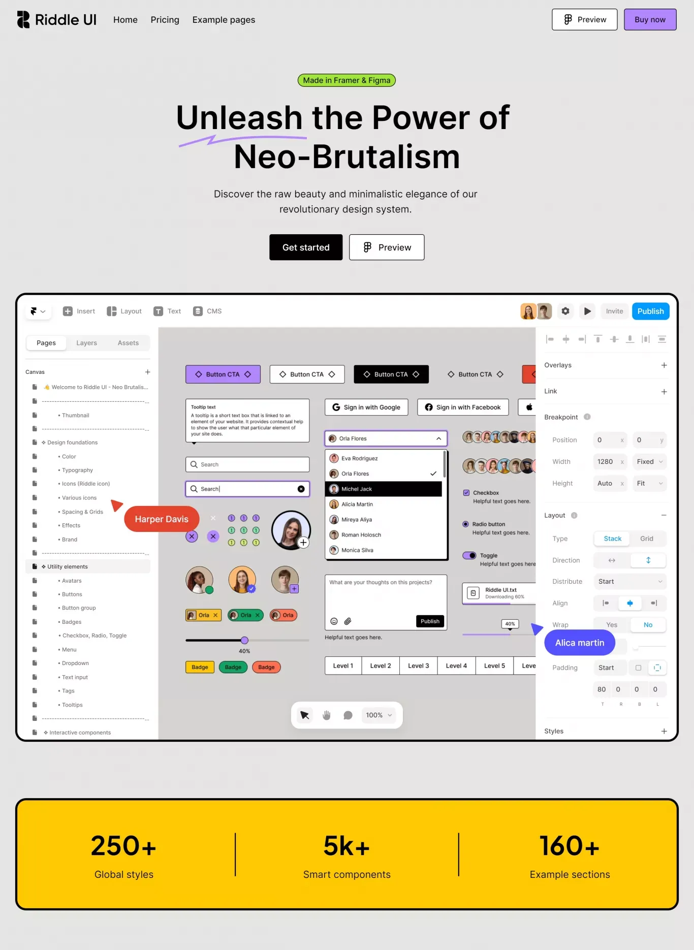 Riddle UI - Neo Brutalism Design System - Landing design