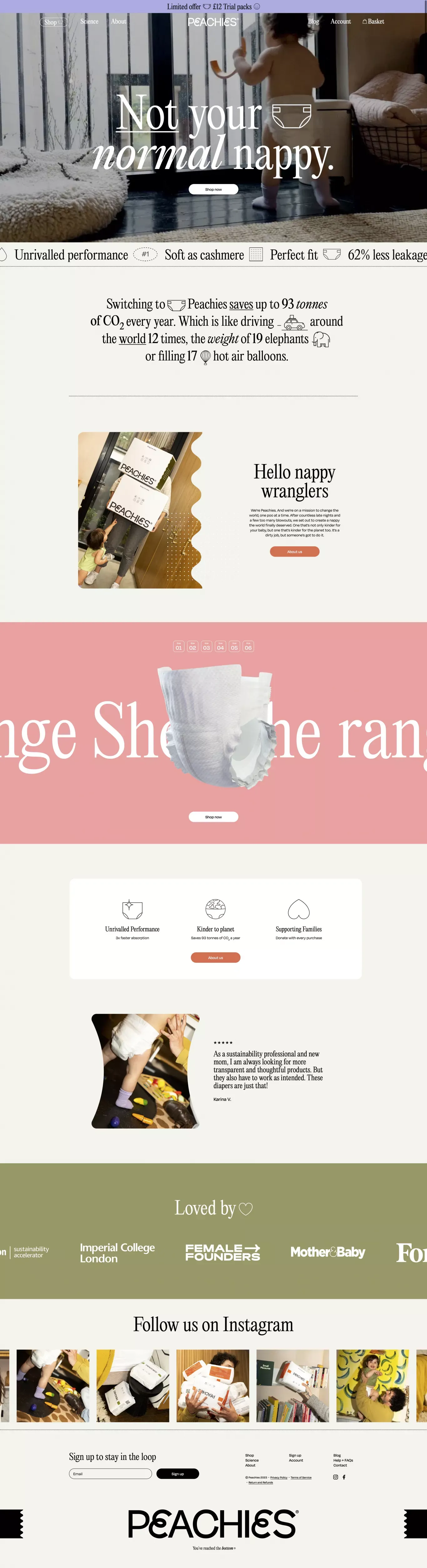 Not your normal nappy - Ecommerce design