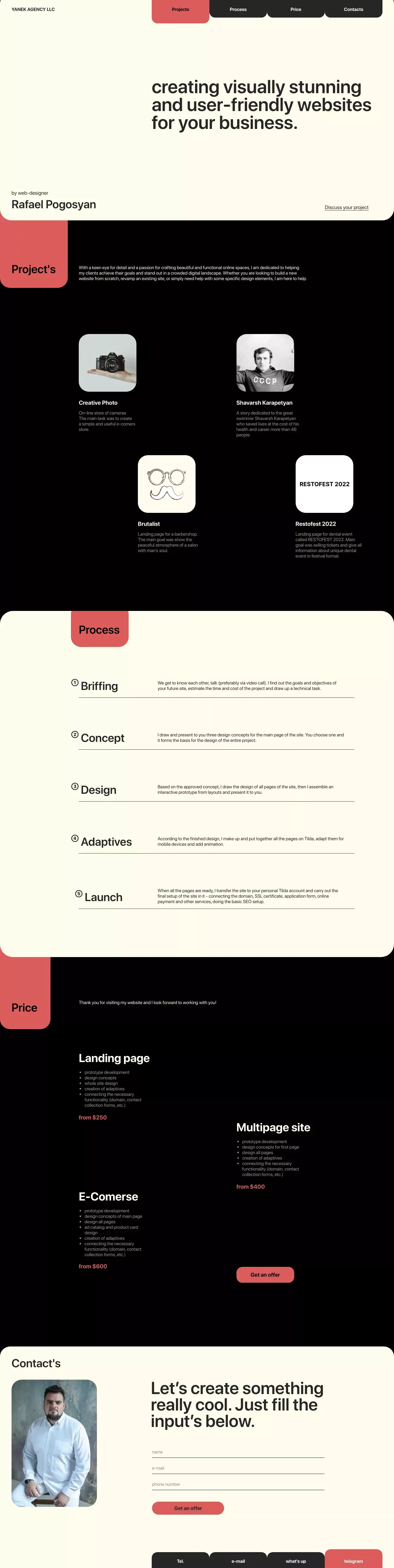 YANEK agency/creating visually stunning websites - Portfolio design