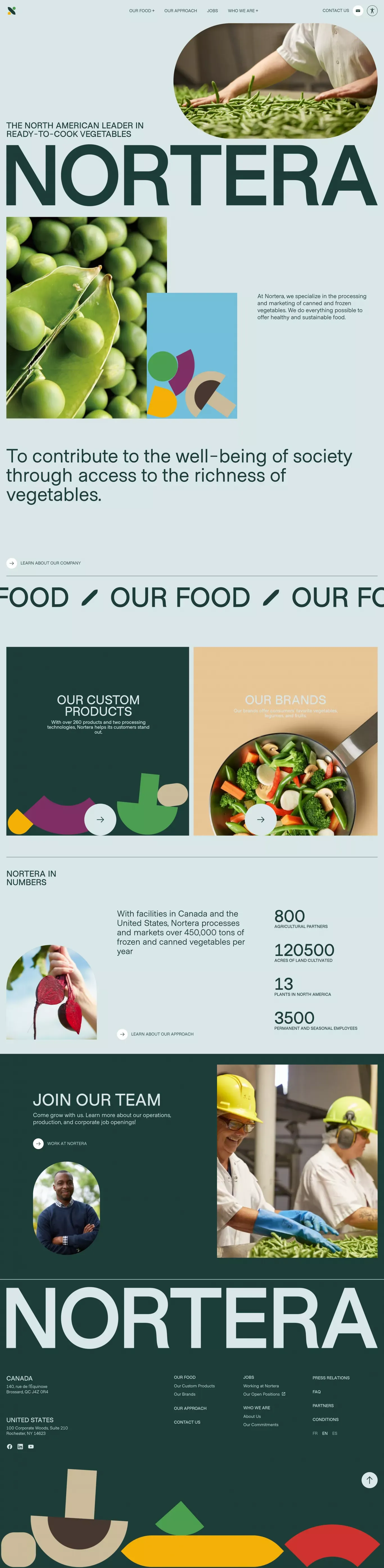 Leader dans la transformation et la vente de légumes - Landing design