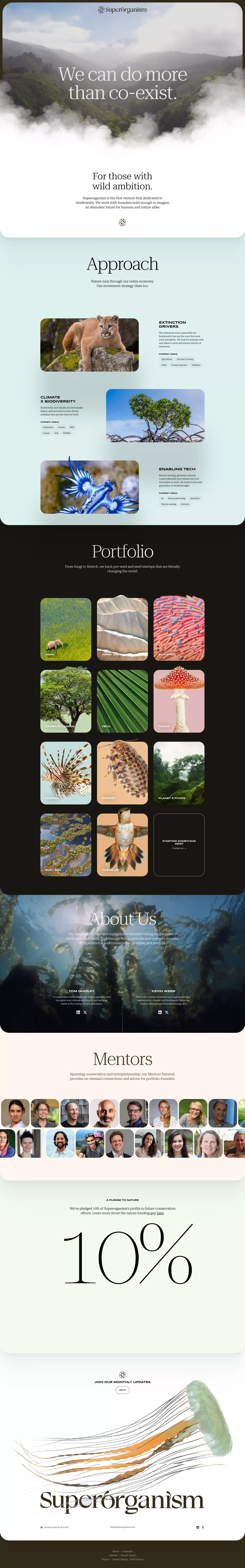 Superorganism - Portfolio design