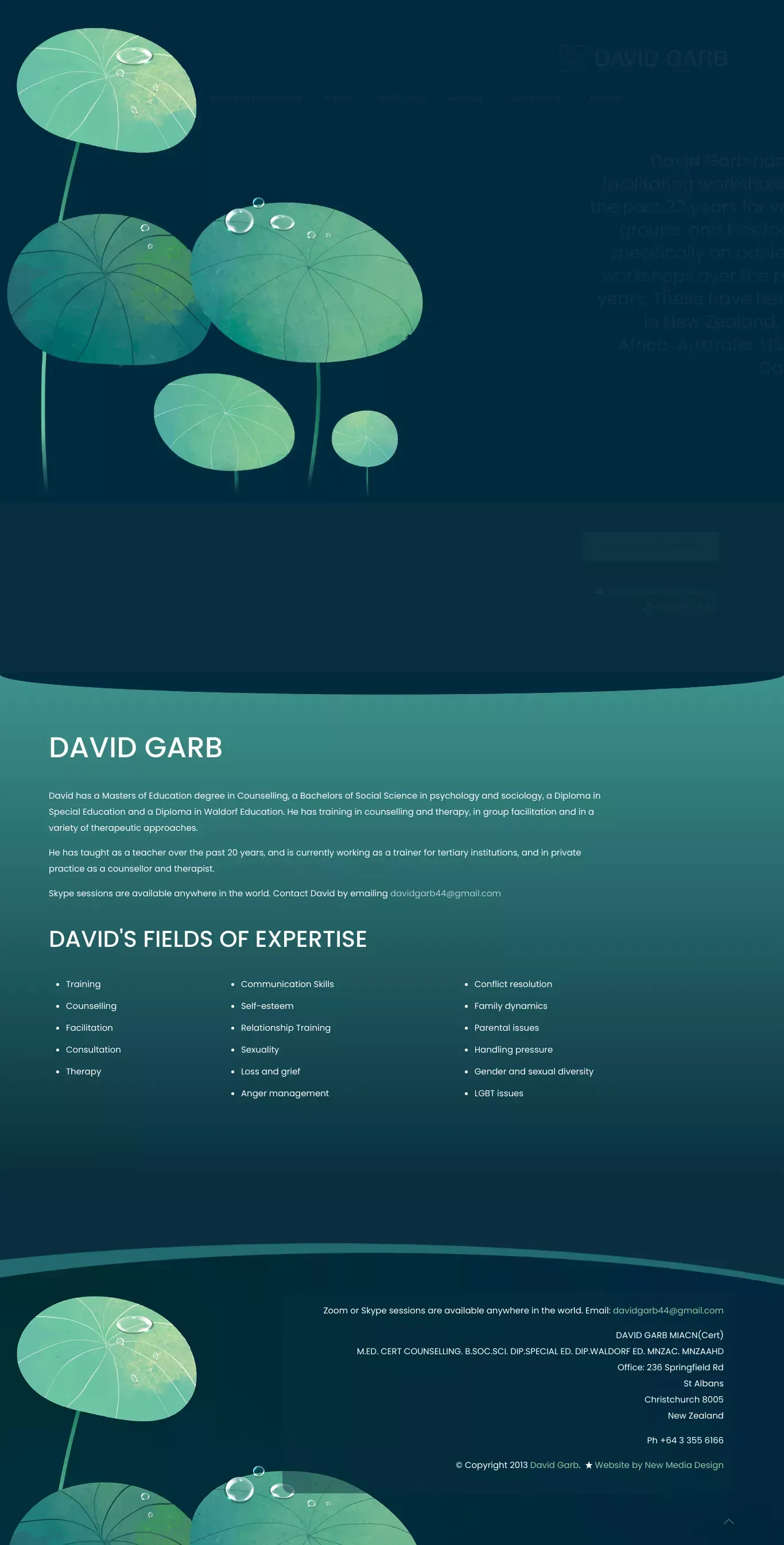 David Garb - website design