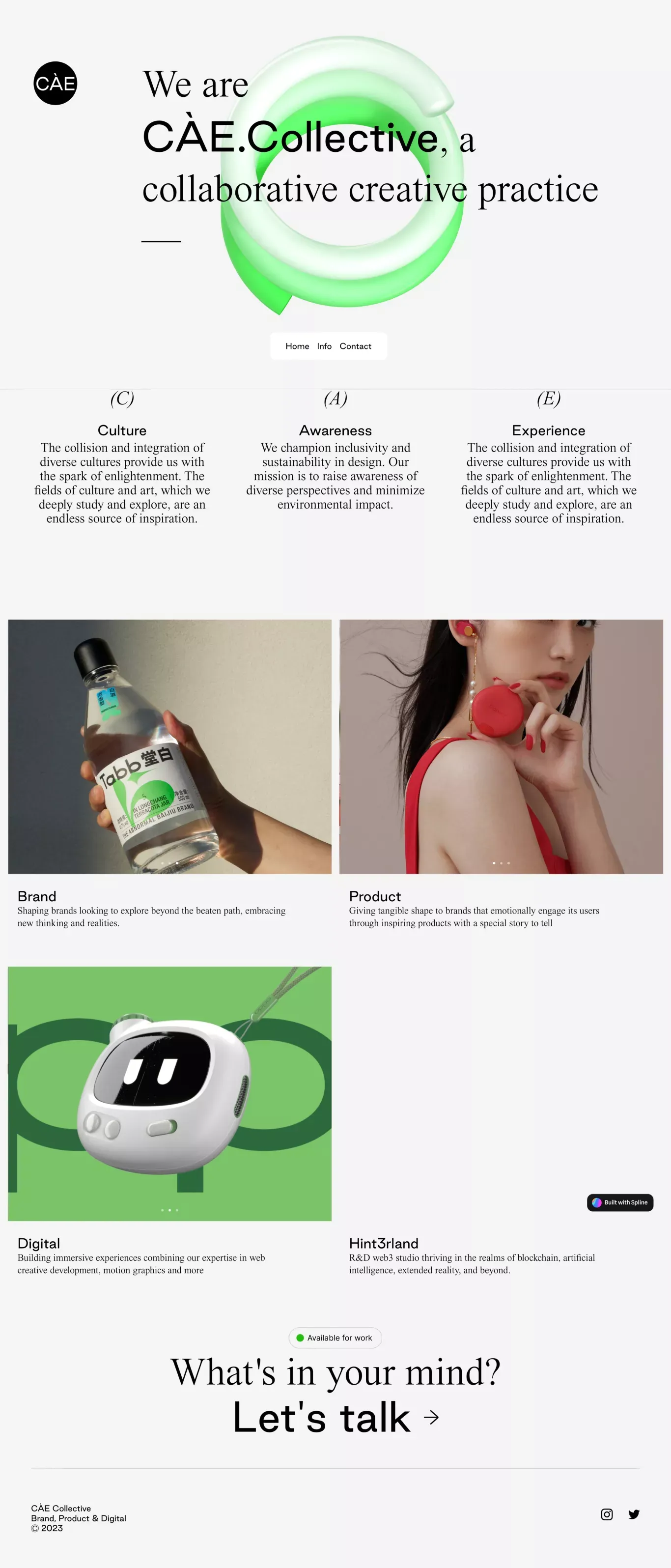 CÃE Collective - Portfolio design