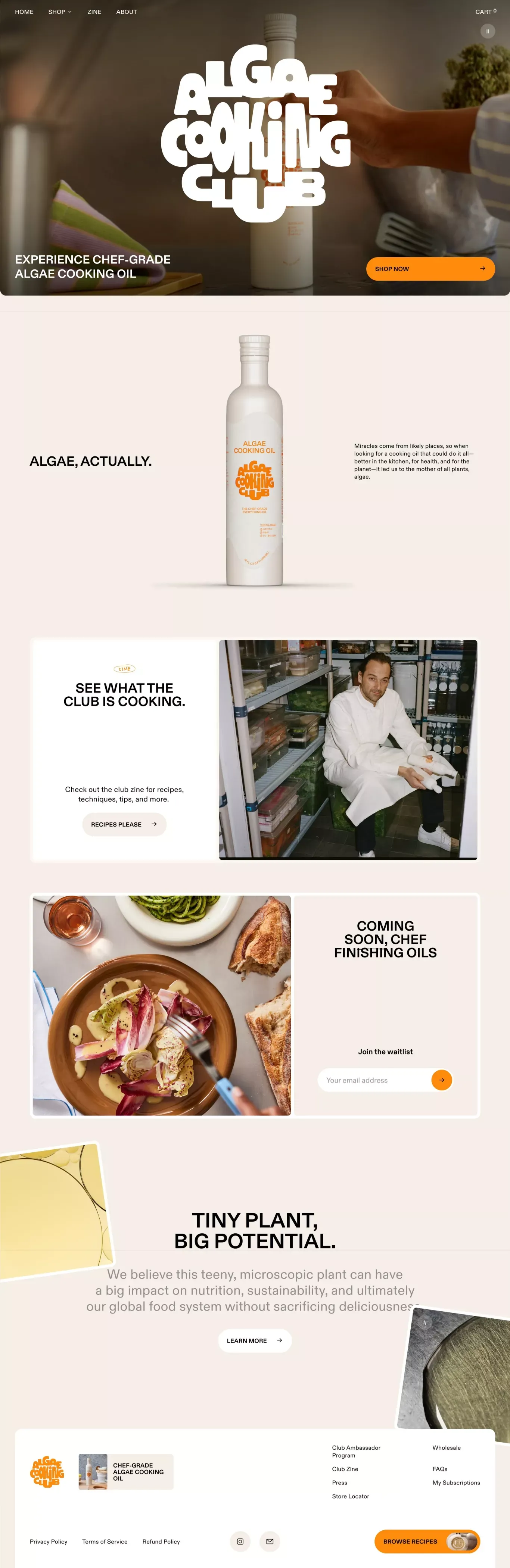Algae Cooking Club - Landing design